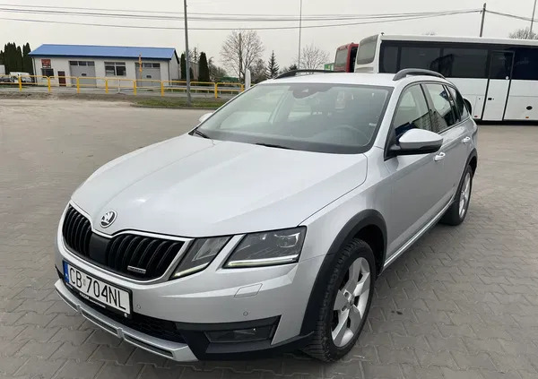 skoda Skoda Octavia cena 64900 przebieg: 252890, rok produkcji 2019 z Chełmno